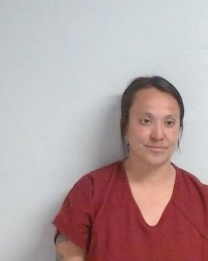 Booking photo of ALICIA JAMES