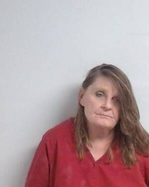 Booking photo of JOHNNETTA LYNN STANFORD