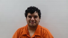 Booking photo of ALVARADO RODOLFO