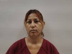 Booking photo of ARAGUZ YOLANDA