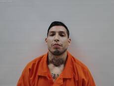 Booking photo of ARAUJO CHRISTIAN