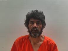 Booking photo of AVILA DAVID