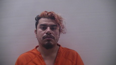 Booking photo of Balderas Hector