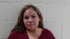 Booking photo of BARRERA VELMA