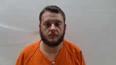 Booking photo of BRIDGES JASON DAVID