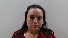 Booking photo of CAMARILLO SONIA ALICIA
