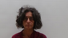 Booking photo of DECKER SUSAN