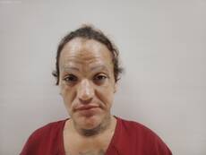 Booking photo of DEL VALLE JOANNA
