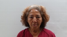 Booking photo of DELGADILLO ELENA