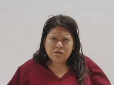 Booking photo of DOMINGUEZ YESENIA