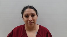 Booking photo of FLORES AMY