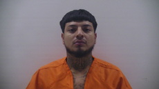 Booking photo of FLORES GILBERT