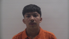 Booking photo of FLORES LOPEZ ALAN