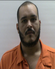 Booking photo of FLORES SALVADOR