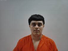 Booking photo of GOMEZ ANTONIO