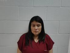 Booking photo of GOMEZ GODINEZ GLENDA XIOMA