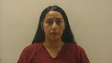 Booking photo of GONZALES  JEANELL VICTORIA