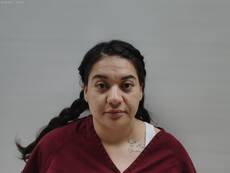 Booking photo of HERNANDEZ ANDREA VICTORIA