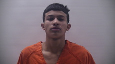Booking photo of HERNANDEZ HERNANDEZ RICARDO OTONIEL