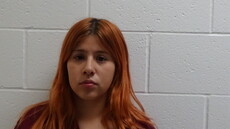 Booking photo of HERNANDEZ SHERLYN