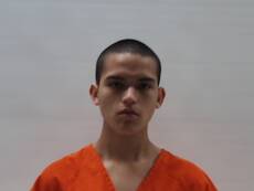 Booking photo of HERRERA ALEJANDRO