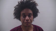 Booking photo of HOUSTON ANDREA DENISE