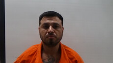 Booking photo of IBARRA IRVING