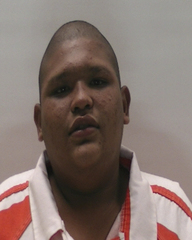 Booking photo of IBARRA JAIRO