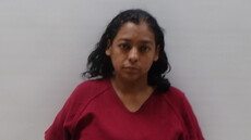 Booking photo of IBARRA PICAZO BRENDA LEE