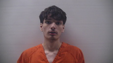 Booking photo of IRLAS LUIS