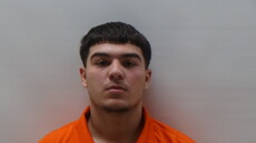 Booking photo of LARA PEDRO