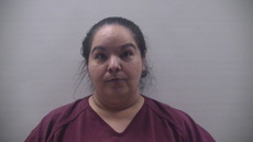 Booking photo of LEATHERWOOD REJEANA