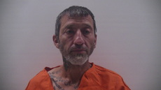 Booking photo of LONGORIA RAMIRO PENA