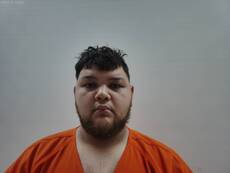 Booking photo of LOPEZ ALEJANDRO