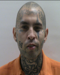 Booking photo of MARQUEZ STEVEN SAGE
