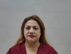 Booking photo of MARTINEZ AMELIA