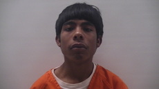 Booking photo of MARTINEZ RAMOS ANDRES HECTOR