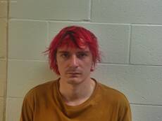 Booking photo of MCELWRATH SKYLER TARR