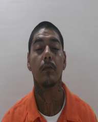 Booking photo of MOLINA MICHAEL