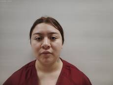 Booking photo of Noyola Valentina Anahi