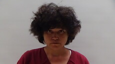 Booking photo of PENA MARTINEZ ANGELICA