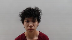 Booking photo of PEREZ TRENA