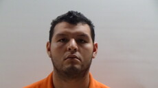 Booking photo of PINEDA JOSE