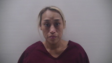 Booking photo of PIZANO CRYSTAL ANN