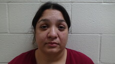 Booking photo of RAMIREZ DIANA