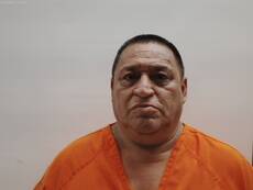 Booking photo of RAMIREZ SALDANA JOAQUIN