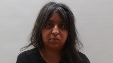 Booking photo of REYNOSO RUBY LEE