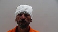 Booking photo of Salazar Ismael