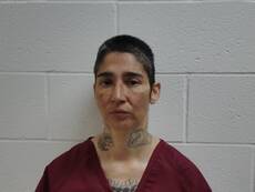 Booking photo of SALINAS JESSICA