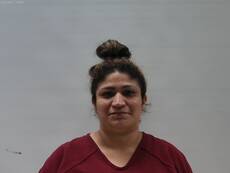 Booking photo of SANTILLAN CHRISTINA VERONICA